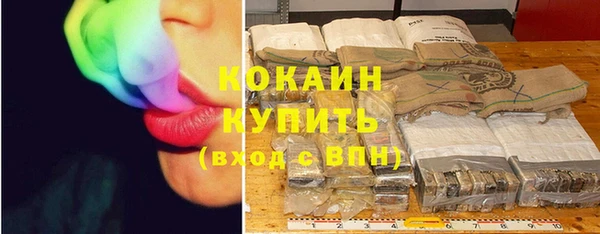 индика Киреевск