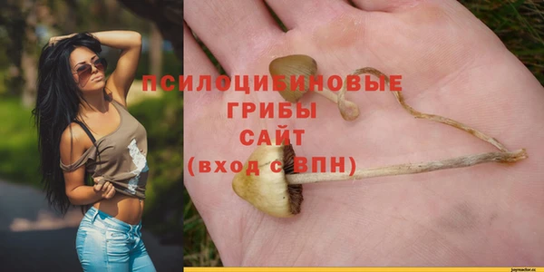 индика Киреевск