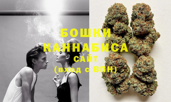 индика Киреевск