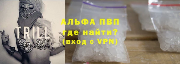 крисы Козельск
