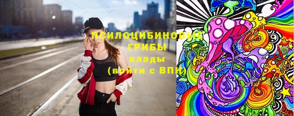 дмт Кинешма