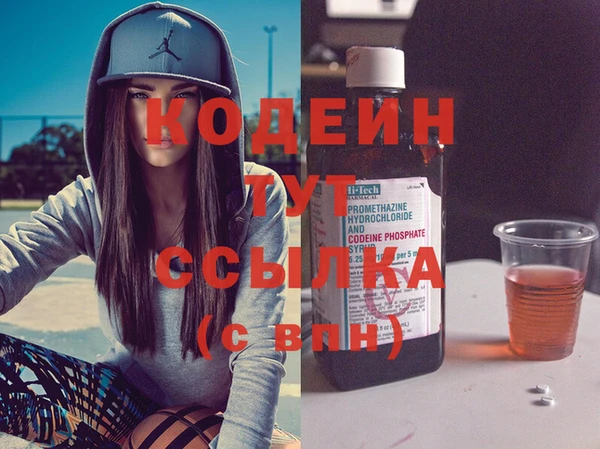 индика Киреевск