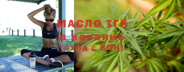 индика Киреевск